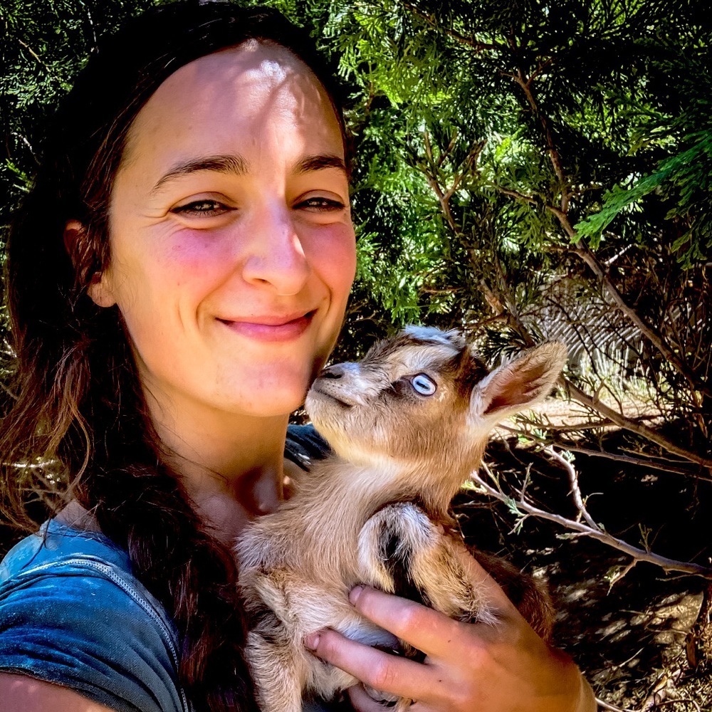 Meet your Posher, Kira